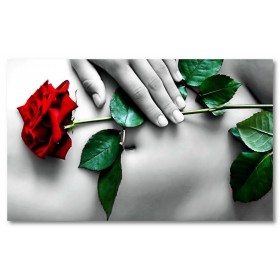 Αφίσα (μαύρο, λευκό, άσπρο, τριαντάφυλλο, κόκκινος)